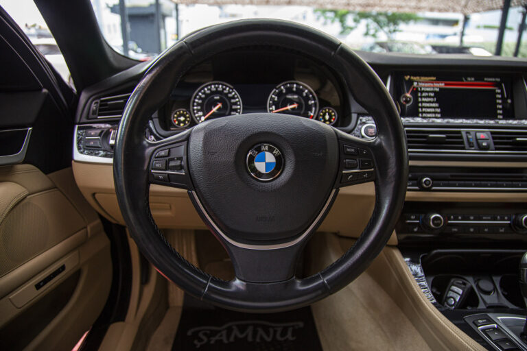2016 BMW 5.20i Premium -17
