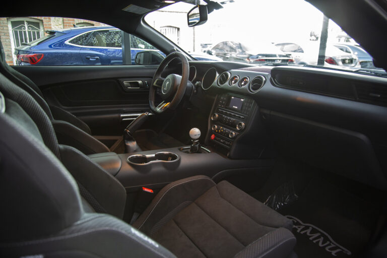 2016 Ford Mustang Shelby GT350 -15