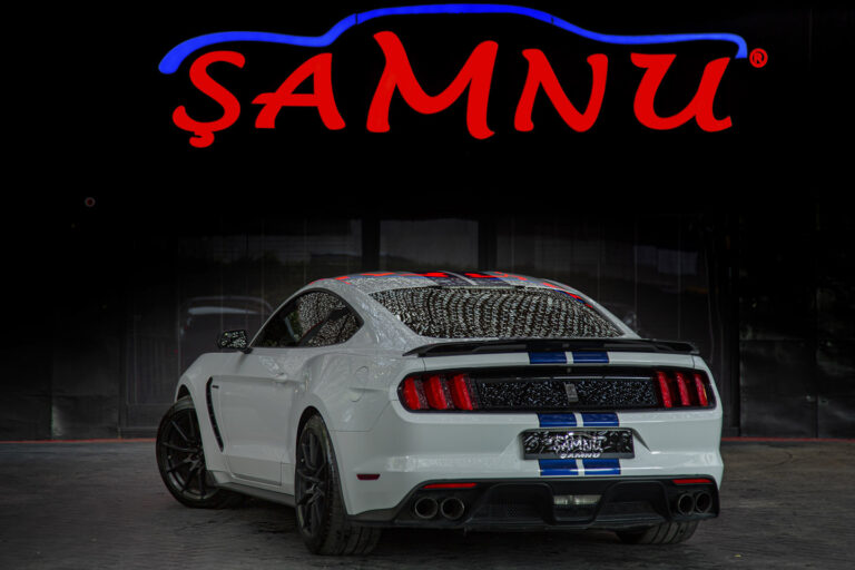 2016 Ford Mustang Shelby GT350 -6