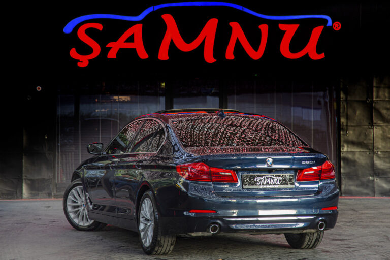 2019 BMW 5.20i Luxury Line -6